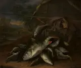 Jacob Gillig, Fish, lying on nets