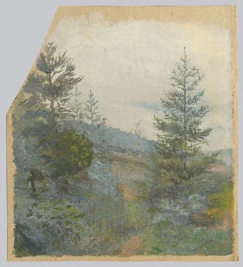 Jan Nowopacký, Spruces