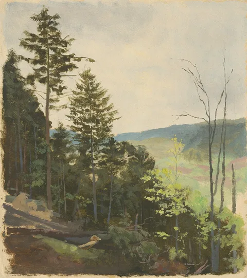Jan Nowopacký, Scrub Hill