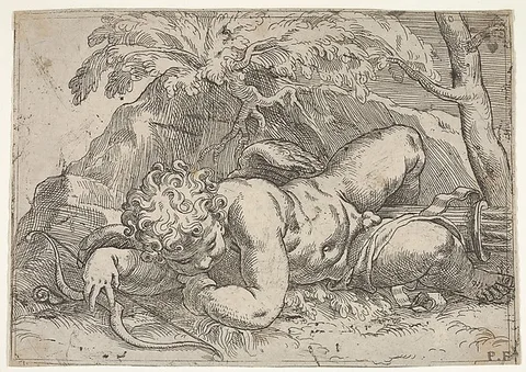 Paolo Farinati, Sleeping Cupid