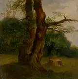 Jozef Božetech Klemens, Study of a Leafy Tree