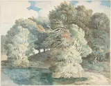 Francis Towne, Trees by the lake, Peamore Park, near Exeter, Devon