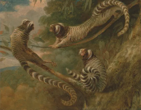 George Garrard, A Marmoset in Three Attitude