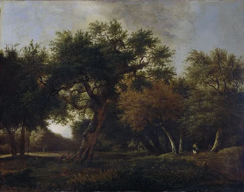 Jan van Kessel, View of a Forest