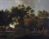Jan van Kessel, View of a Forest
