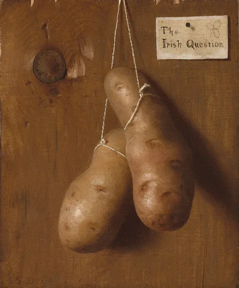 De Scott Evans, The Irish Question