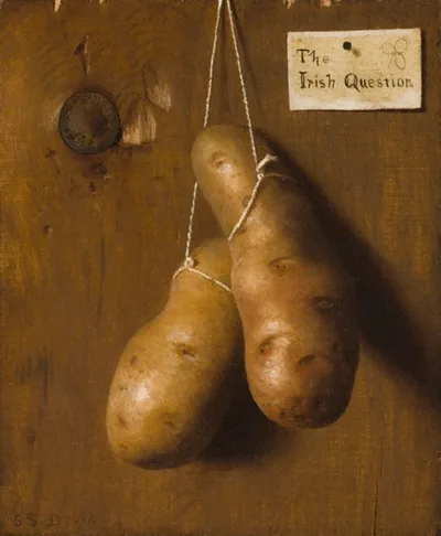 De Scott Evans, The Irish Question