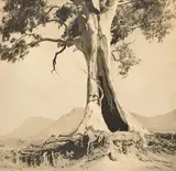 Harold Cazneaux, Spirit of endurance