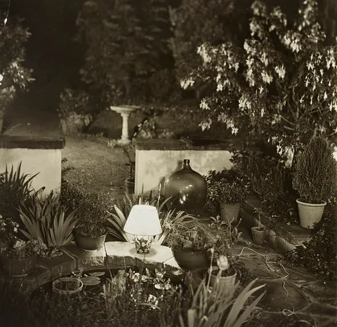 Harold Cazneaux, Garden at night, Sydney, New South Wales, c. 1935