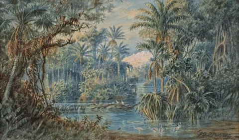 Antón Goering, Flamingos in a Lake, Venezuela