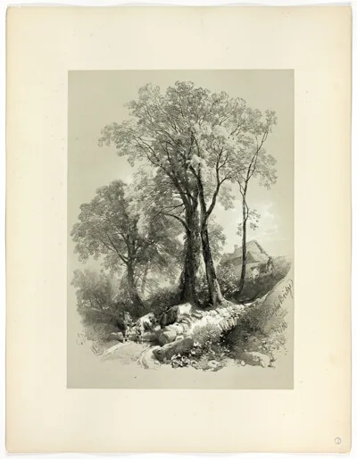 James Duffield Harding, Shipley Bridge, Devon, from Picturesque Selections