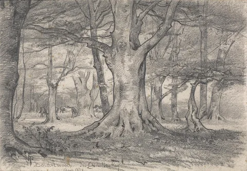 Alfred Parsons, A Forest Landscape near Boldrewood