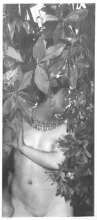 Gabriel Schachinger, Untitled
