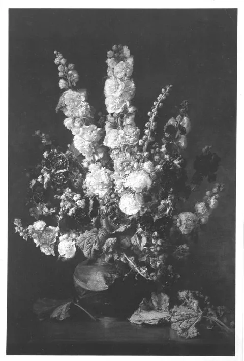 Gabriel Schachinger, Untitled