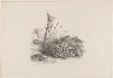 Carl August Lebschée, Withered Tree by a Pond