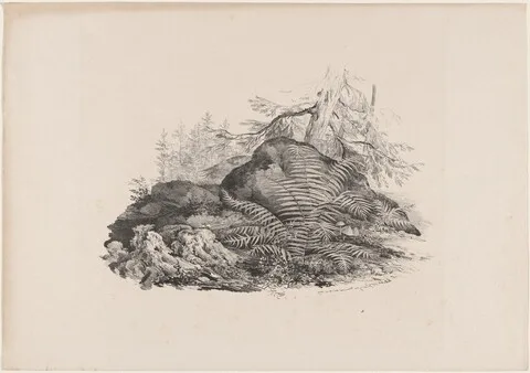 Carl August Lebschée, Hilly Forest View with a Fern
