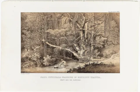 Carl August Lebschée, Prope Jundicuara Praedium in Districtu Ubatuba, Prov. Rio de Janeiro