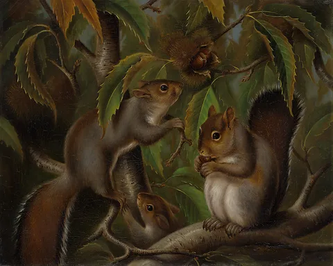 Susan Waters, Untitled (Squirrels in a Chestnut Tree)
