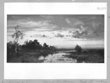 Eduard Schleich, marshy-landscape with 2 roes in the evening