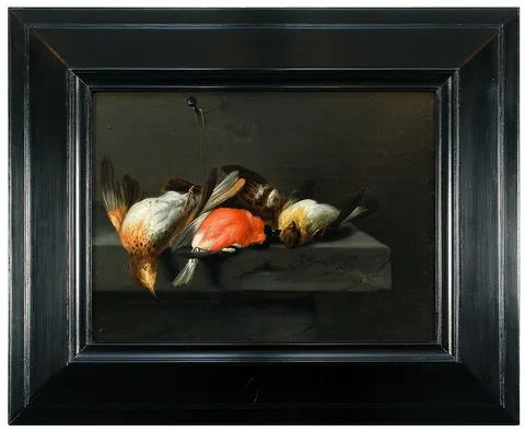 Jan Vonck, Dead birds on a stone ledge