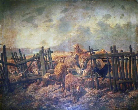 Ceramano, Sheep