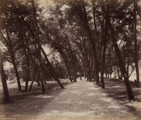 William H. Rau, Picnic Grounds