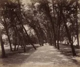 William H. Rau, Picnic Grounds