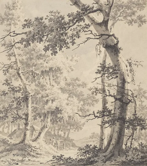 Paulus van Liender, Wooded Landscape