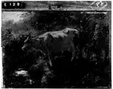 Frans Helfferich, Untitled