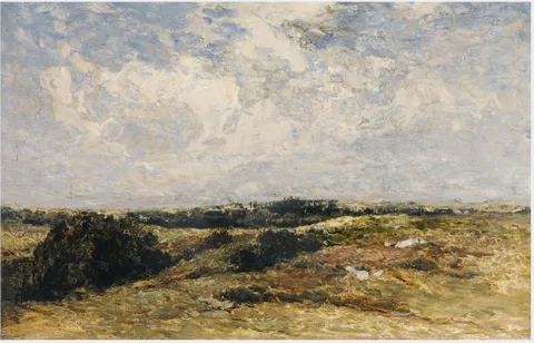 Patrick Vincent Duffy, A Wicklow Common