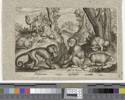Nicolaes de Bruyn, Monkeys, cats and mice