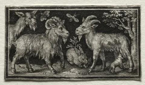 Nicolaes de Bruyn, Goats and Hare