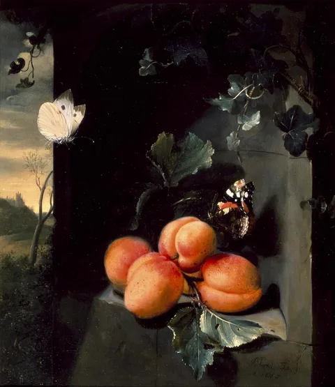 Jan Mortel, Still Life with Apricots and Butterflies