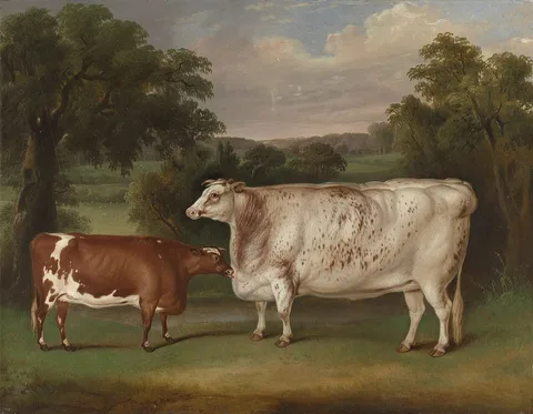 Thomas Weaver, Prize Cattle in a Landscape