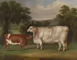 Thomas Weaver, Prize Cattle in a Landscape