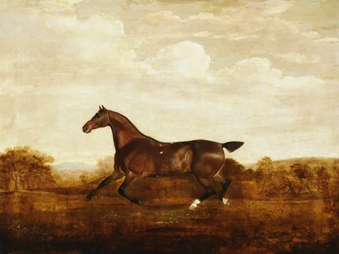 Thomas Weaver, A Bay Hunter called 'Scaramouche'