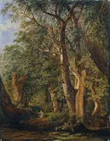 Matthias Rudolf Toma, Untitled