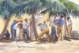 Mitchell Jamieson, Shade Lovers