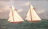 Thomas H. Willis, American Cutters Racing