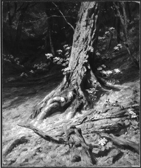 Marcus Waterman, Interior of a Wood: The Past and the Present