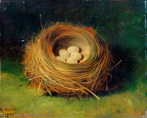Abel Hold, Nest of a Bunting