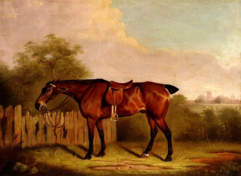 Clifton Tomson, A Saddled Bay Hunter in a Landscape, beside a Fence