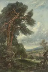 George Sheffield, Landscape with Large Tree