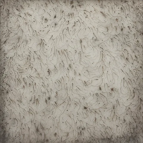 Leszek Knaflewski, Found object