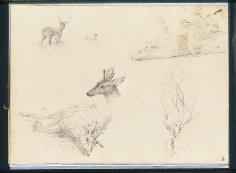 Thomas Hewes Hinckley, Sketchbook of Landscape and Animal Subjects
