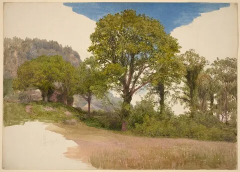 John Henry Hill, Trees Profiled against the Sky