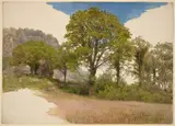 John Henry Hill, Trees Profiled against the Sky