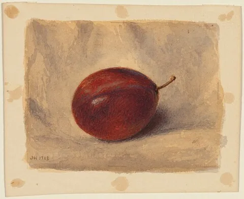 John Henry Hill, Plum