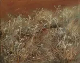 Ra John Singer Sargent, Thistles