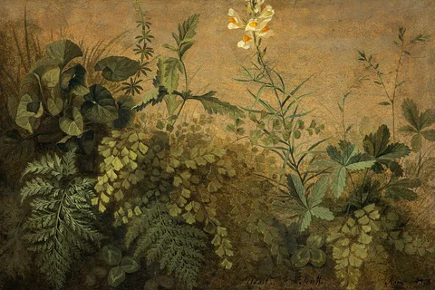 Adolf Senff, A Study of Plants